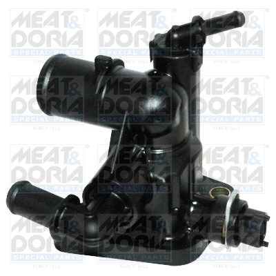 Thermostat, coolant